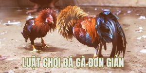 Luật đá gà QQ88 - Yếu tố quyết định giúp bạn chiến thắng 8 luật đá gà